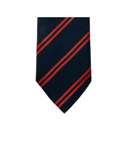 Unisex Striped Ties